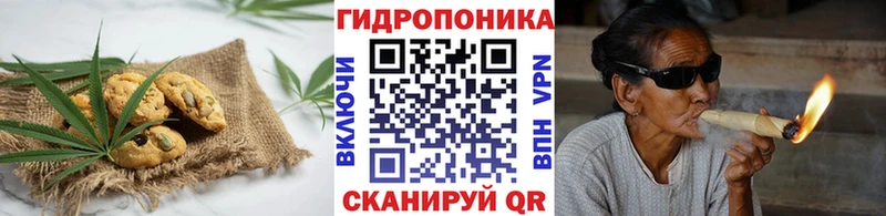 Canna-Cookies марихуана  Купить где  Жиздра 