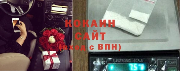стафф Заволжск