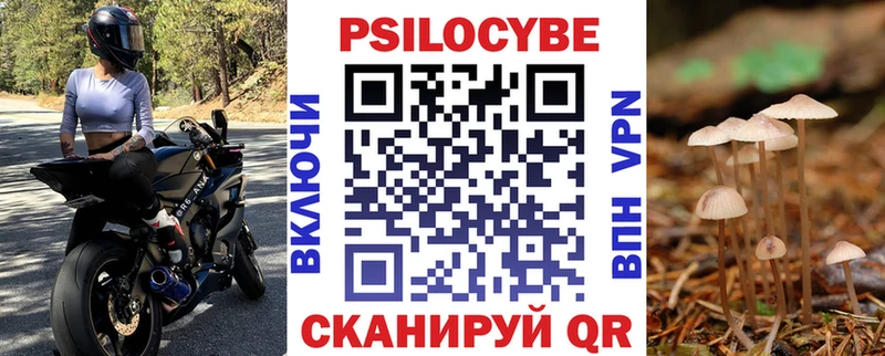Галлюциногенные грибы ЛСД  Купить где  Жиздра 